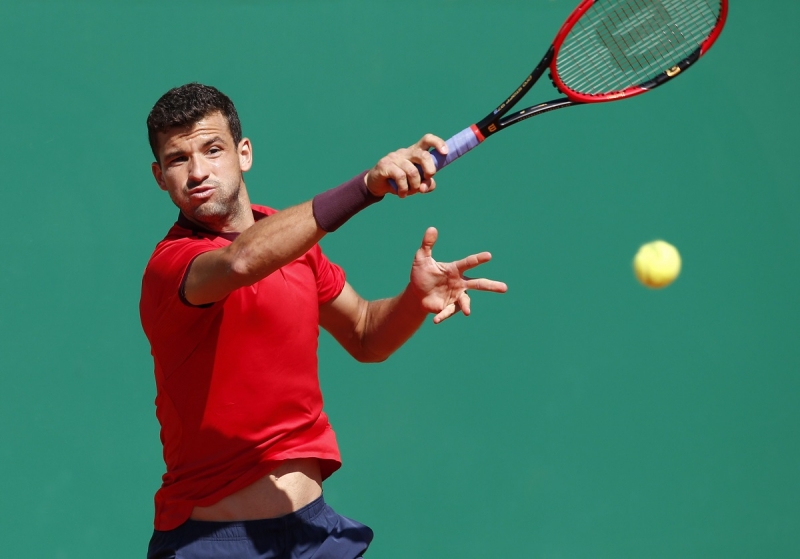 Григор Димитров Димитров