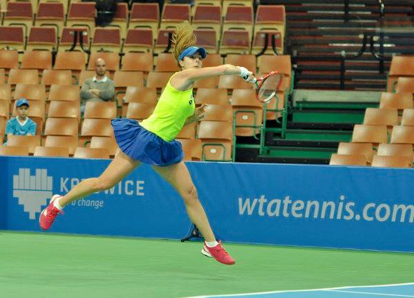 корне в катовице